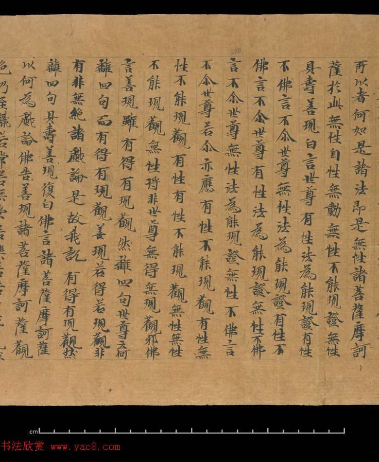 大般若波罗蜜多经卷第四百六十四_俄罗斯藏本