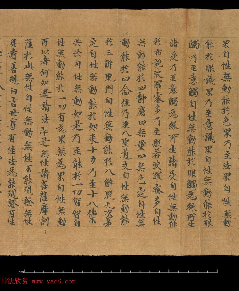 大般若波罗蜜多经卷第四百六十四_俄罗斯藏本