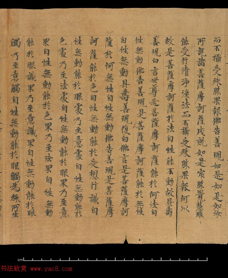 大般若波罗蜜多经卷第四百六十四_俄罗斯藏本