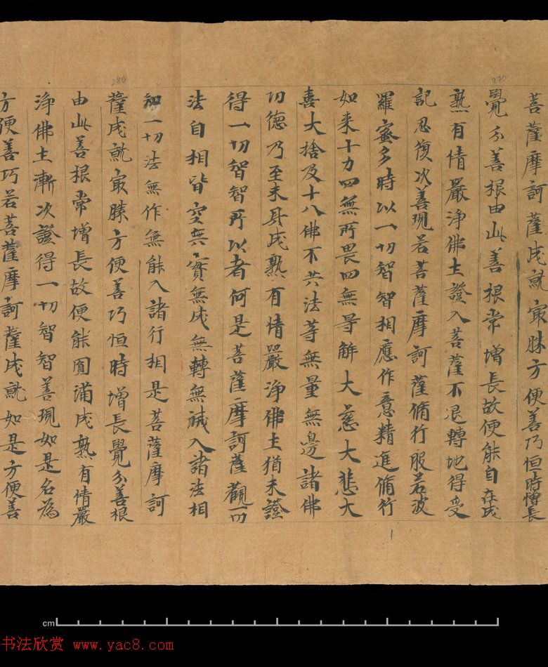 大般若波罗蜜多经卷第四百六十四_俄罗斯藏本