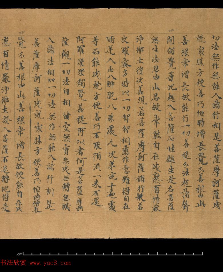 大般若波罗蜜多经卷第四百六十四_俄罗斯藏本