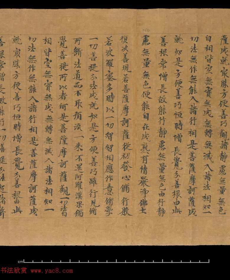 大般若波罗蜜多经卷第四百六十四_俄罗斯藏本