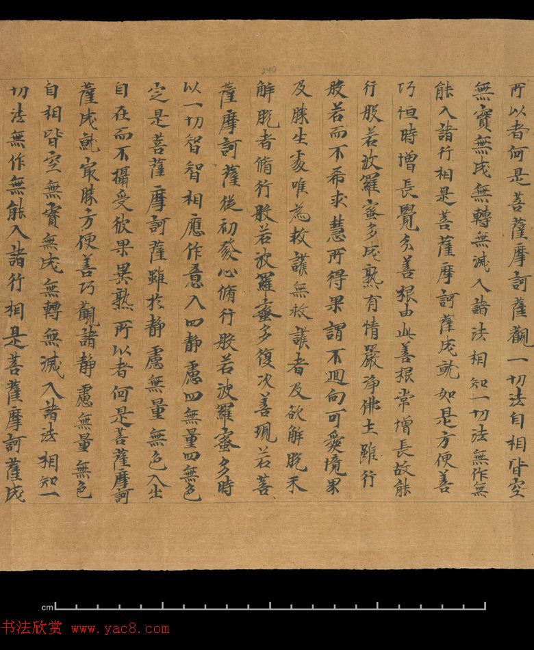 大般若波罗蜜多经卷第四百六十四_俄罗斯藏本