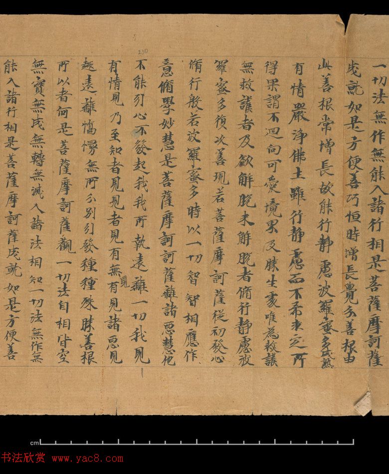 大般若波罗蜜多经卷第四百六十四_俄罗斯藏本