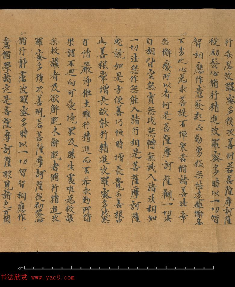 大般若波罗蜜多经卷第四百六十四_俄罗斯藏本