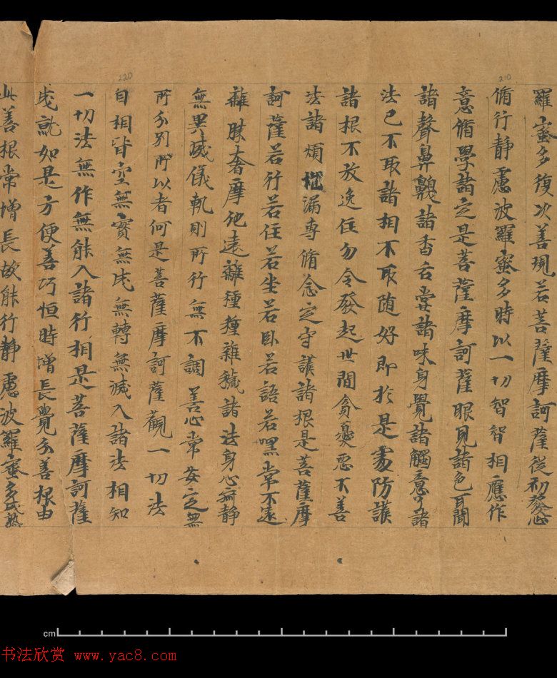 大般若波罗蜜多经卷第四百六十四_俄罗斯藏本