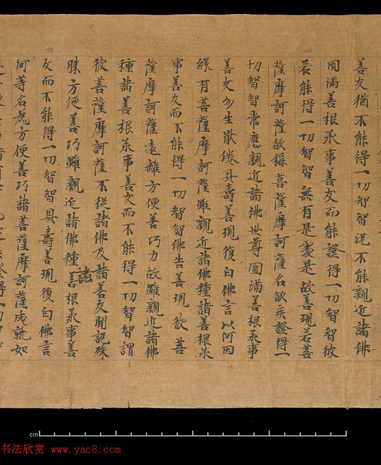 大般若波罗蜜多经卷第四百六十四_俄罗斯藏本