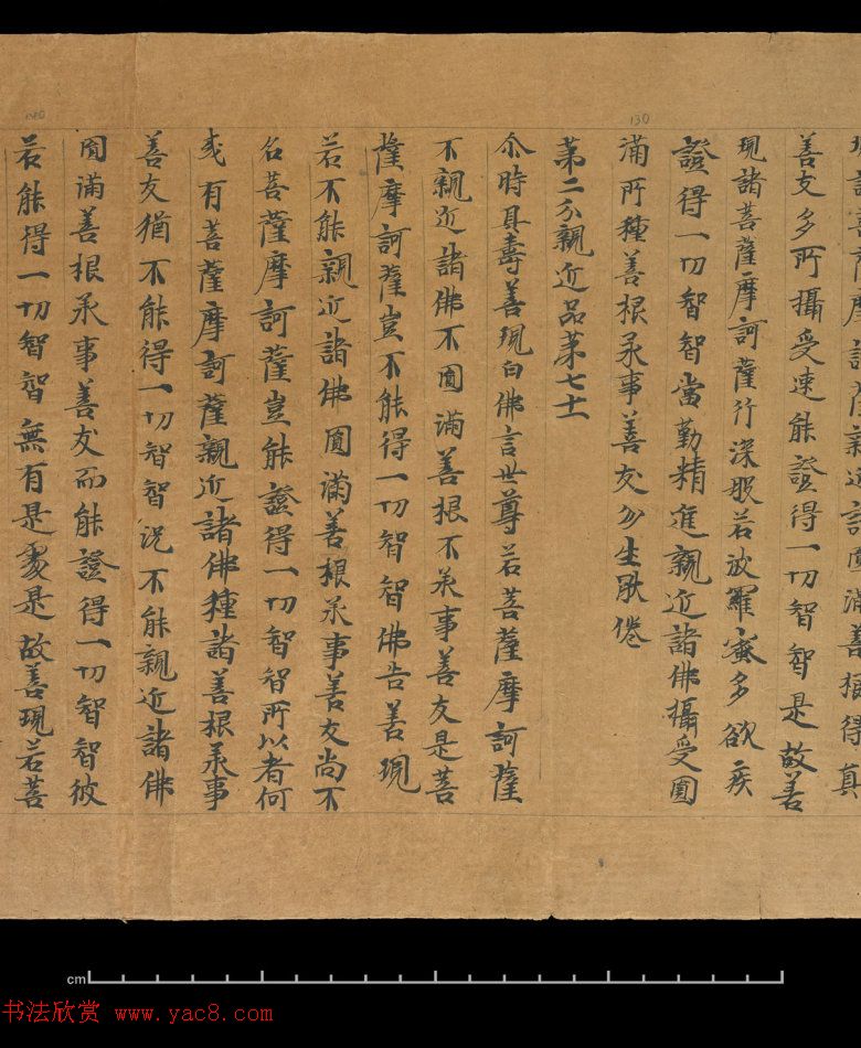 大般若波罗蜜多经卷第四百六十四_俄罗斯藏本