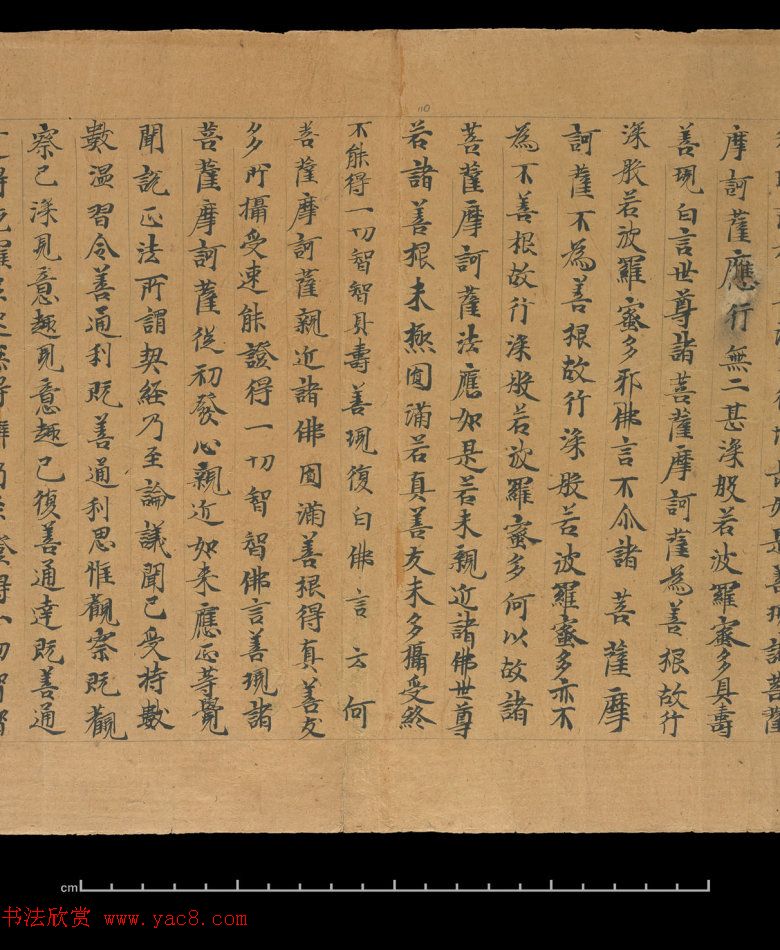 大般若波罗蜜多经卷第四百六十四_俄罗斯藏本