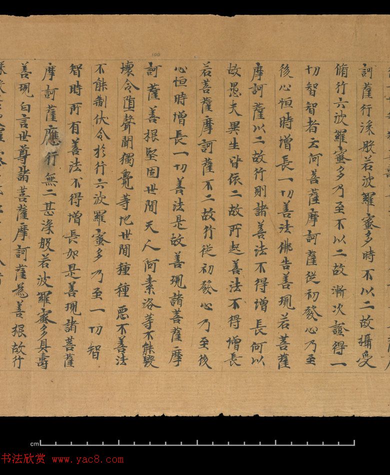 大般若波罗蜜多经卷第四百六十四_俄罗斯藏本