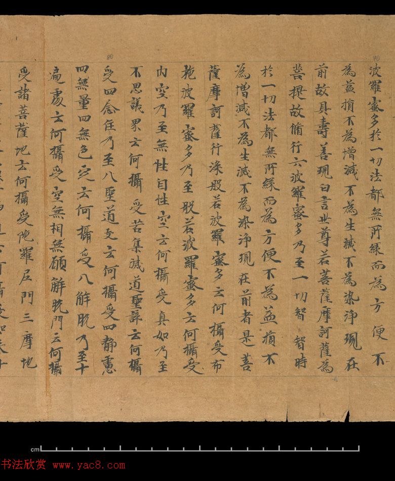 大般若波罗蜜多经卷第四百六十四_俄罗斯藏本