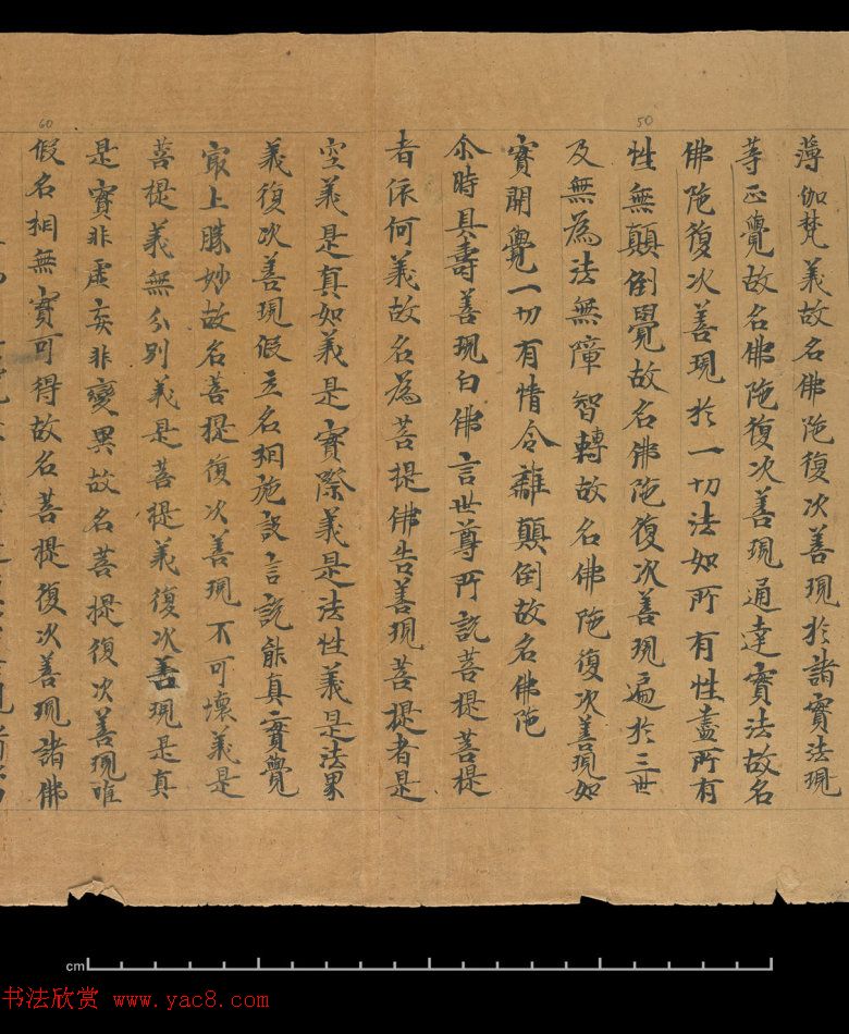 大般若波罗蜜多经卷第四百六十四_俄罗斯藏本