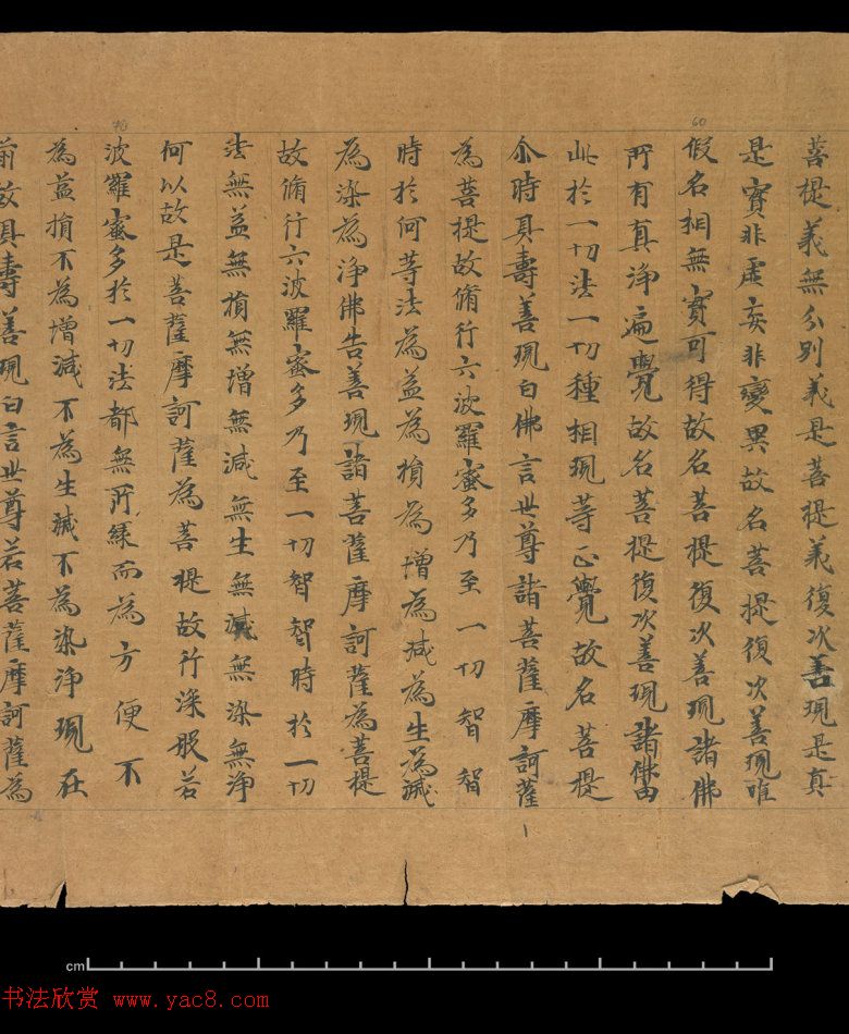 大般若波罗蜜多经卷第四百六十四_俄罗斯藏本