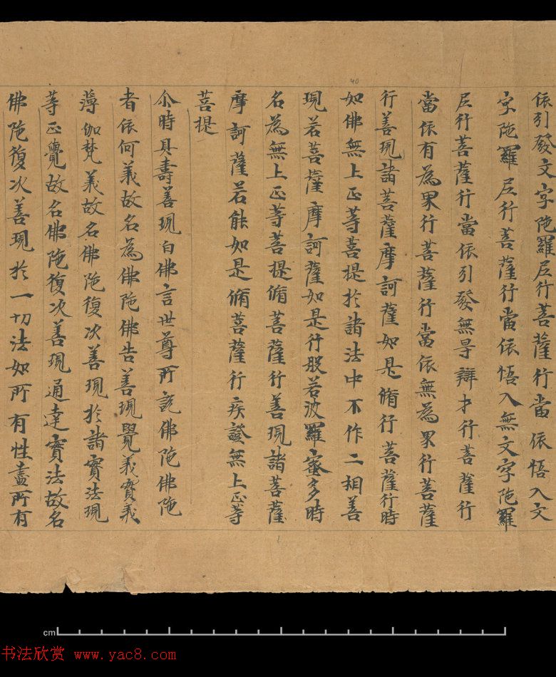 大般若波罗蜜多经卷第四百六十四_俄罗斯藏本