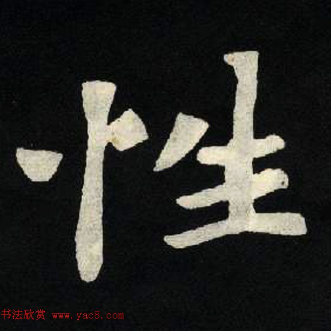 放大魏楷字帖《张黑女墓志单字帖》