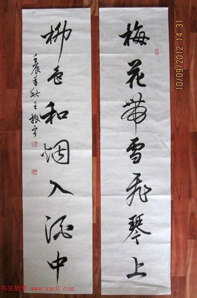 青海书协副主席王振宇书法作品选刊