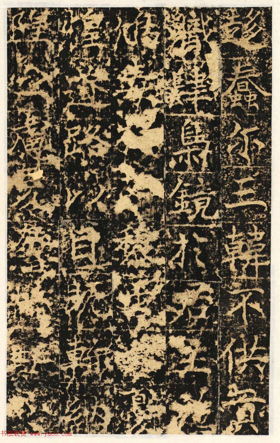 唐代楷书石刻《信法寺弥陀像碑》