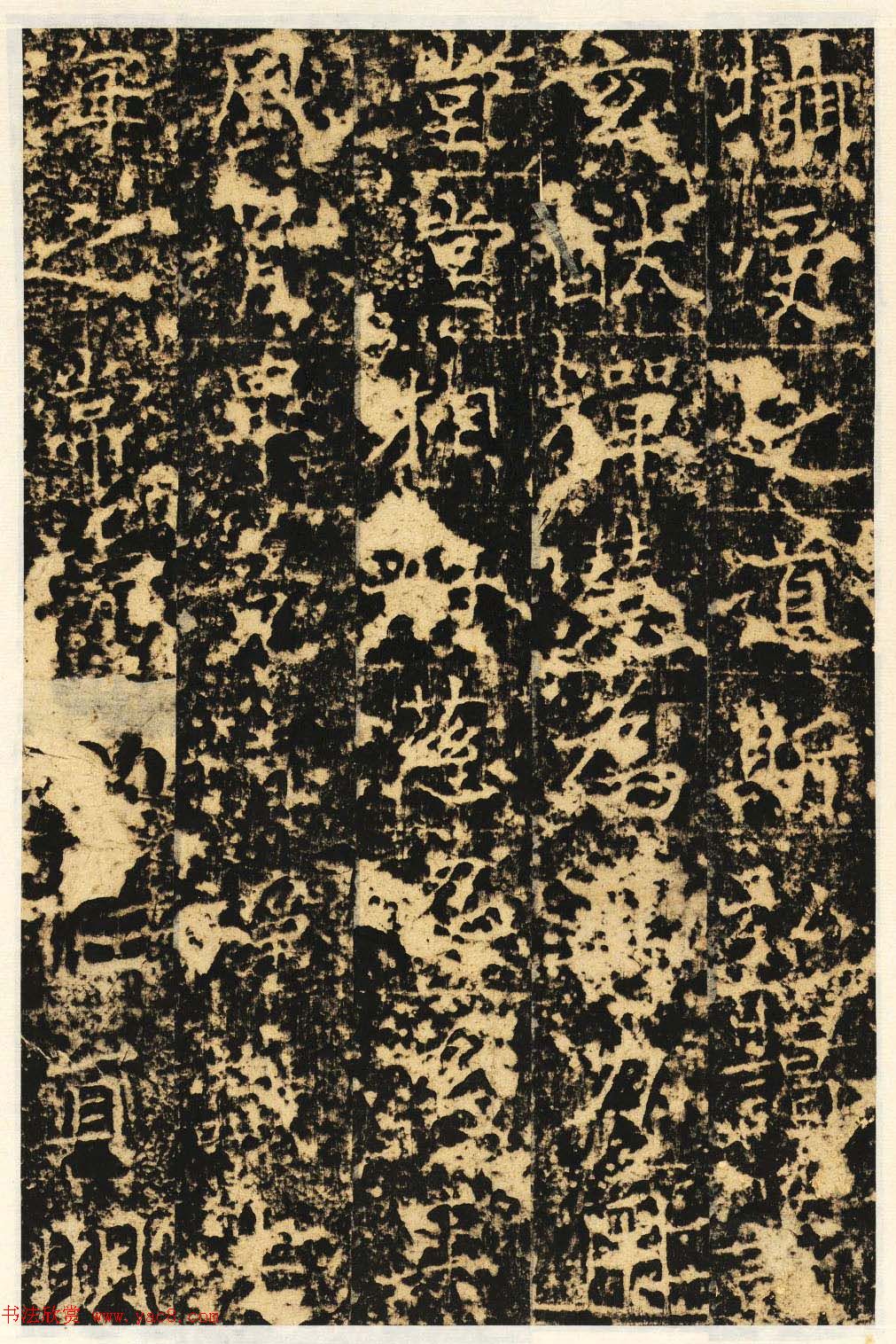 唐代楷书石刻《信法寺弥陀像碑》