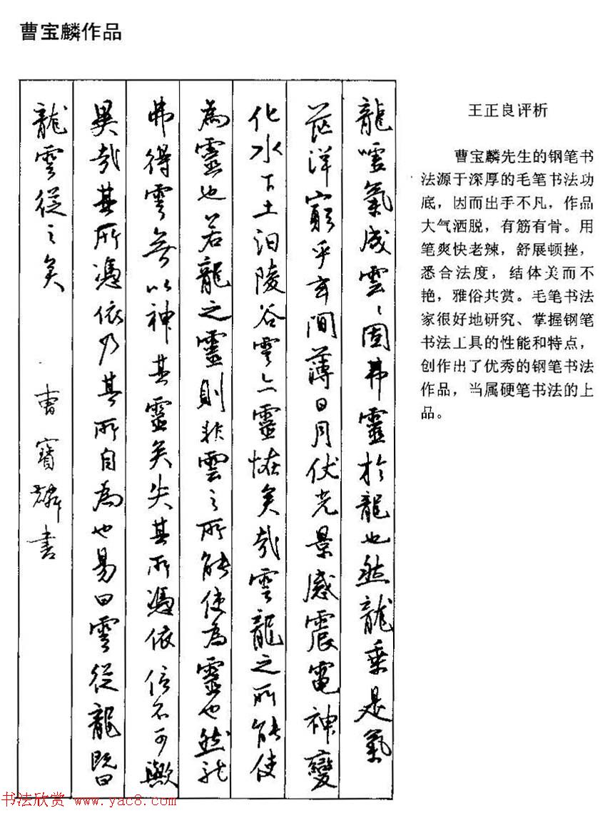 王正良评析优秀钢笔书法作品