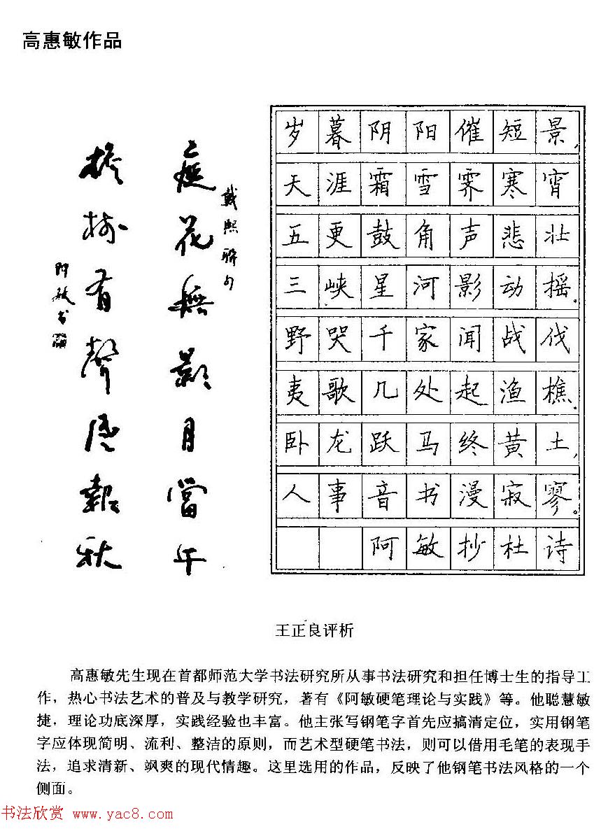 王正良评析优秀钢笔书法作品