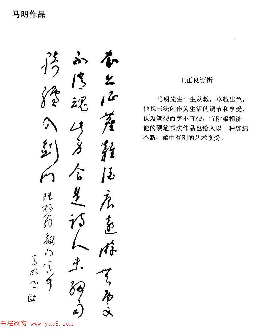 王正良评析优秀钢笔书法作品