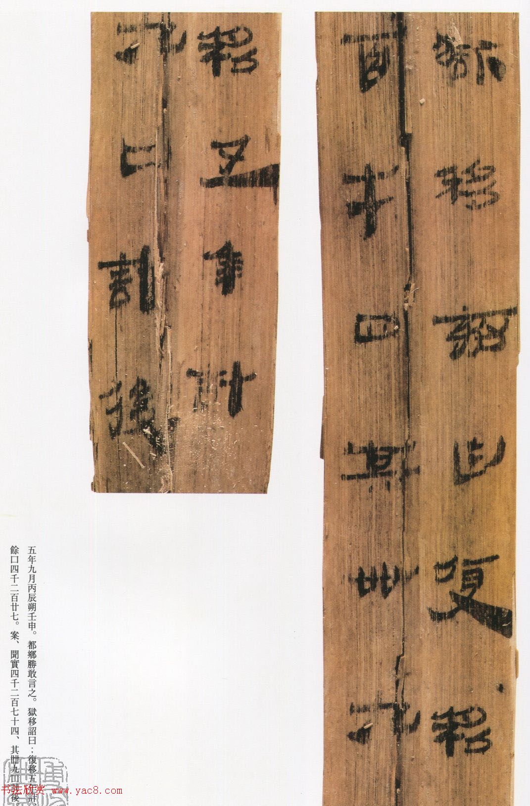 三国走马楼前汉简《长沙走马楼三国吴简》