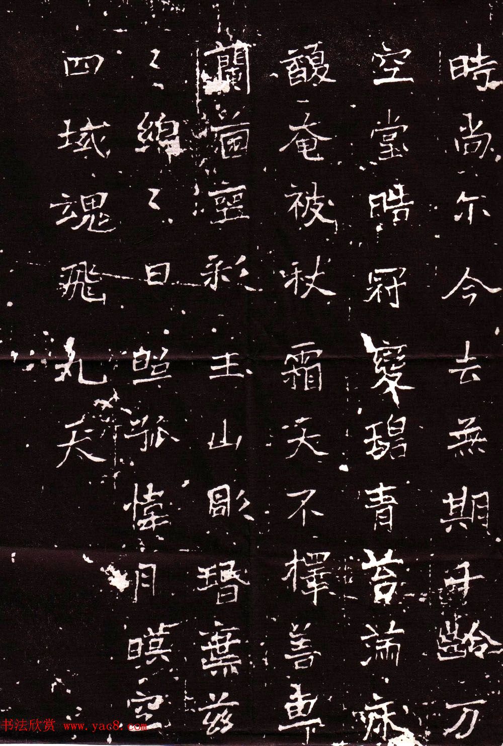 北魏书法拓片《司马空城扃参军陆绍墓志铭》