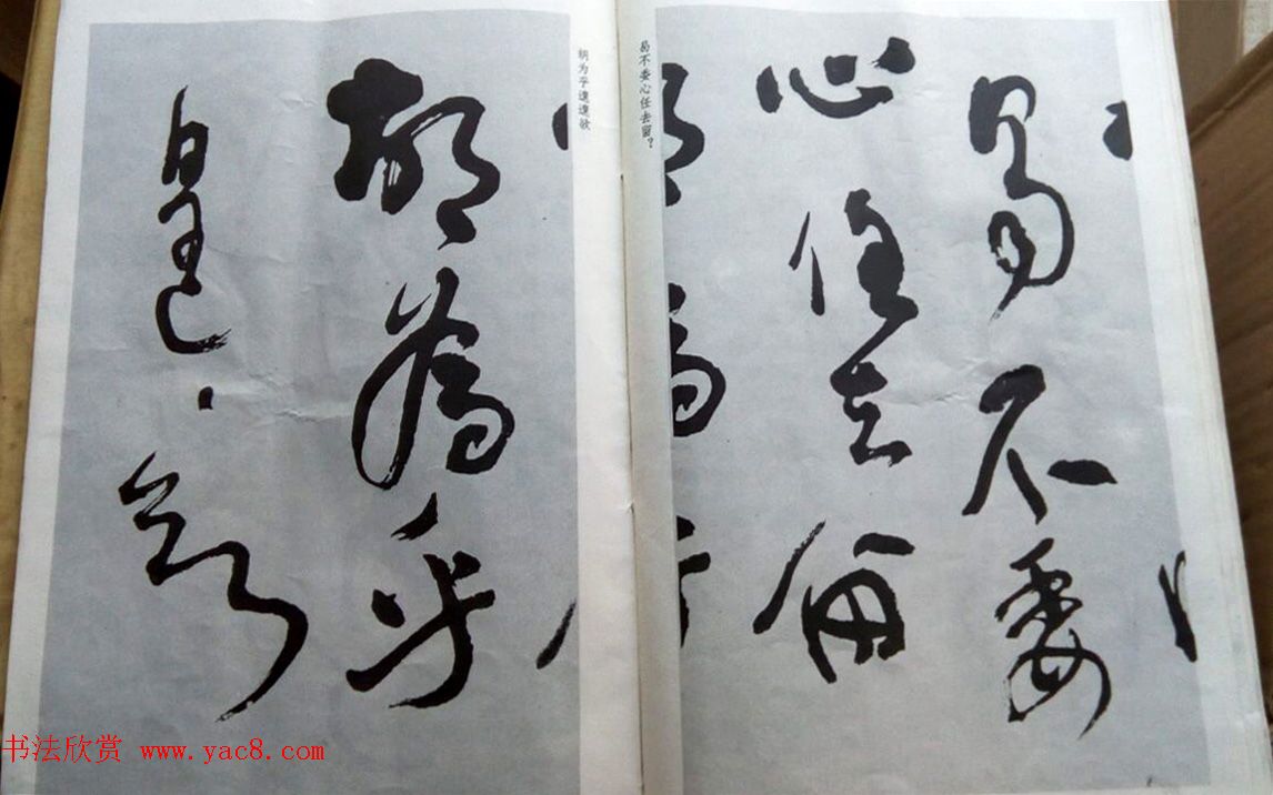 沈鹏行草书法册页欣赏《归去来辞诗词》 沈鹏行草书法册页欣赏《归去来辞诗词》