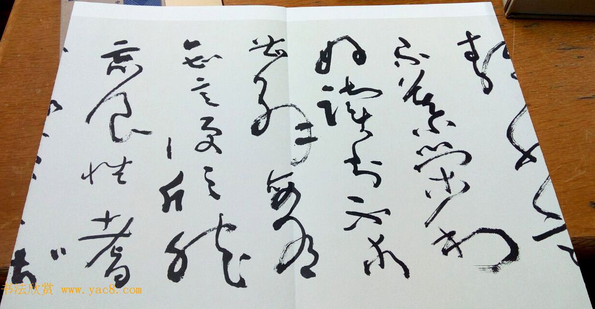 沈鹏草书欣赏《五柳先生传》