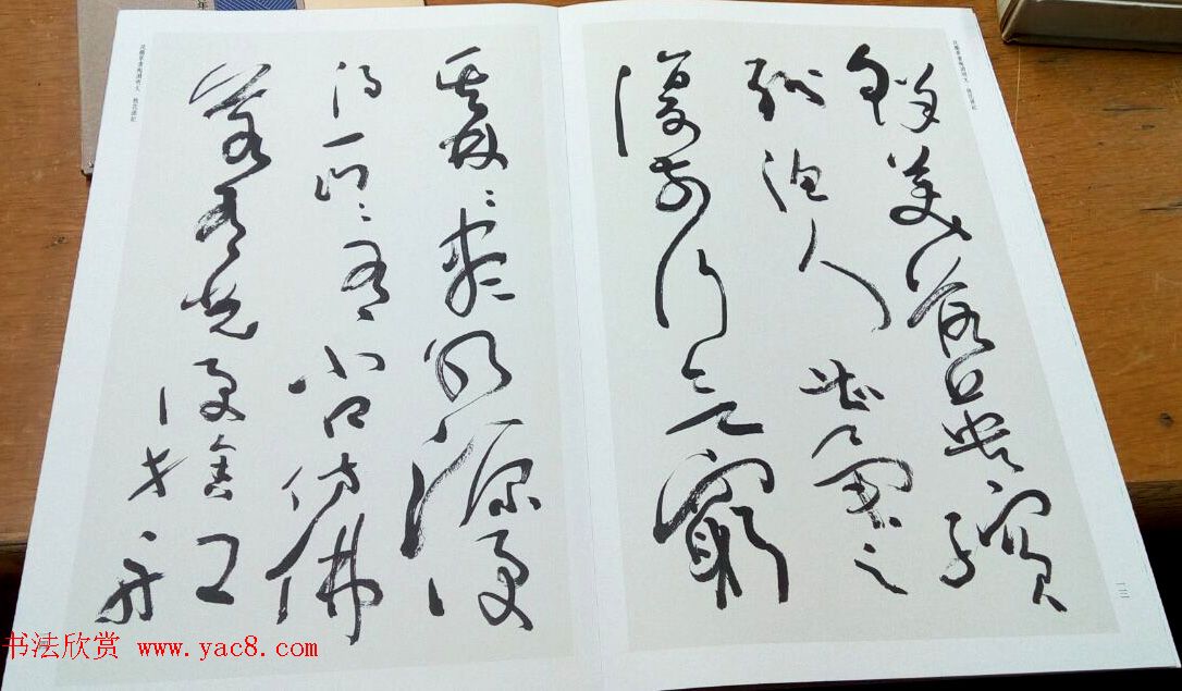 沈鹏草书欣赏《桃花源记》