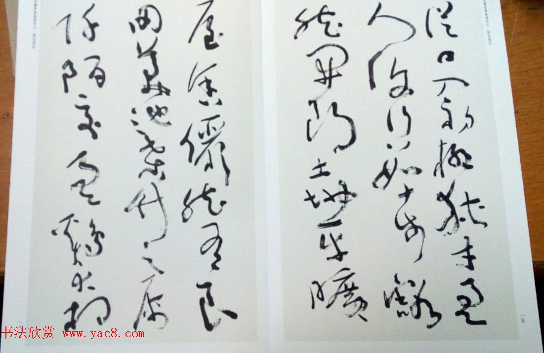 沈鹏草书欣赏《桃花源记》