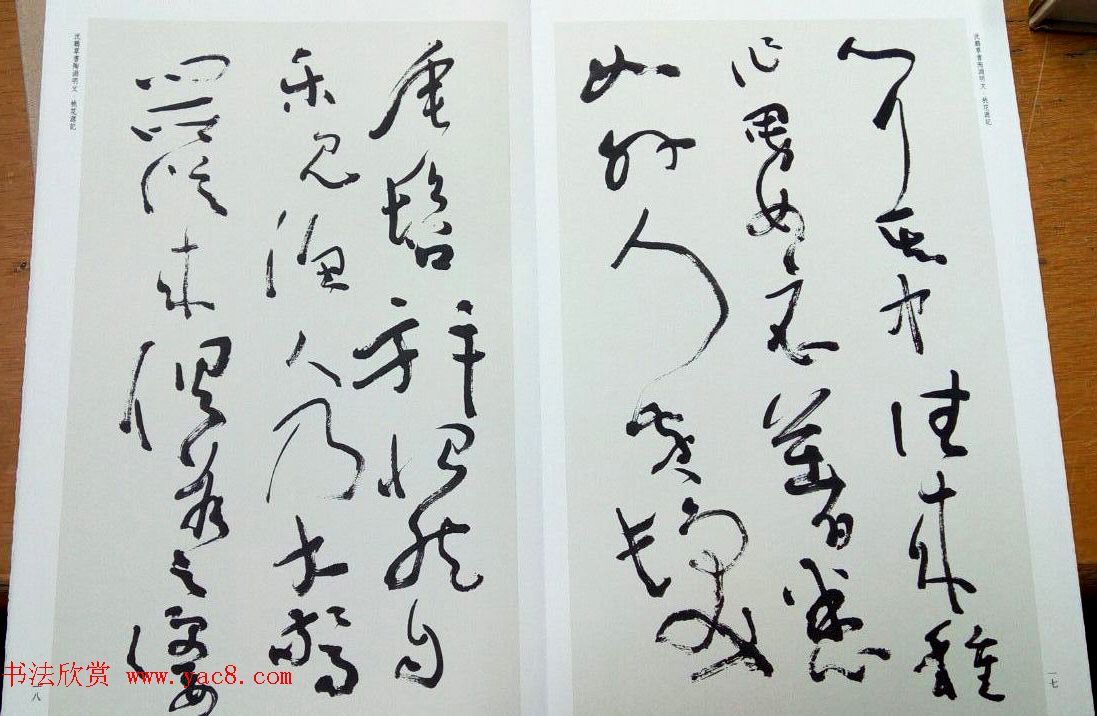 沈鹏草书欣赏《桃花源记》