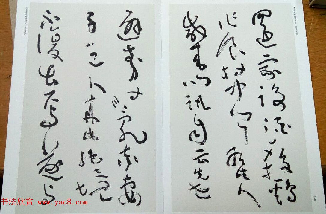 沈鹏草书欣赏《桃花源记》