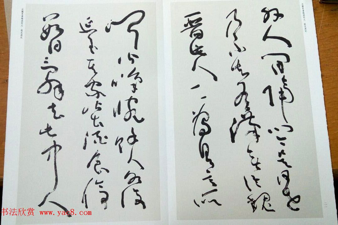 沈鹏草书欣赏《桃花源记》