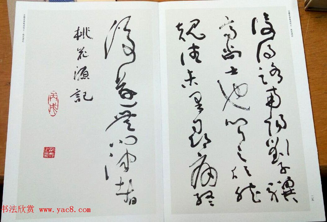 沈鹏草书欣赏《桃花源记》