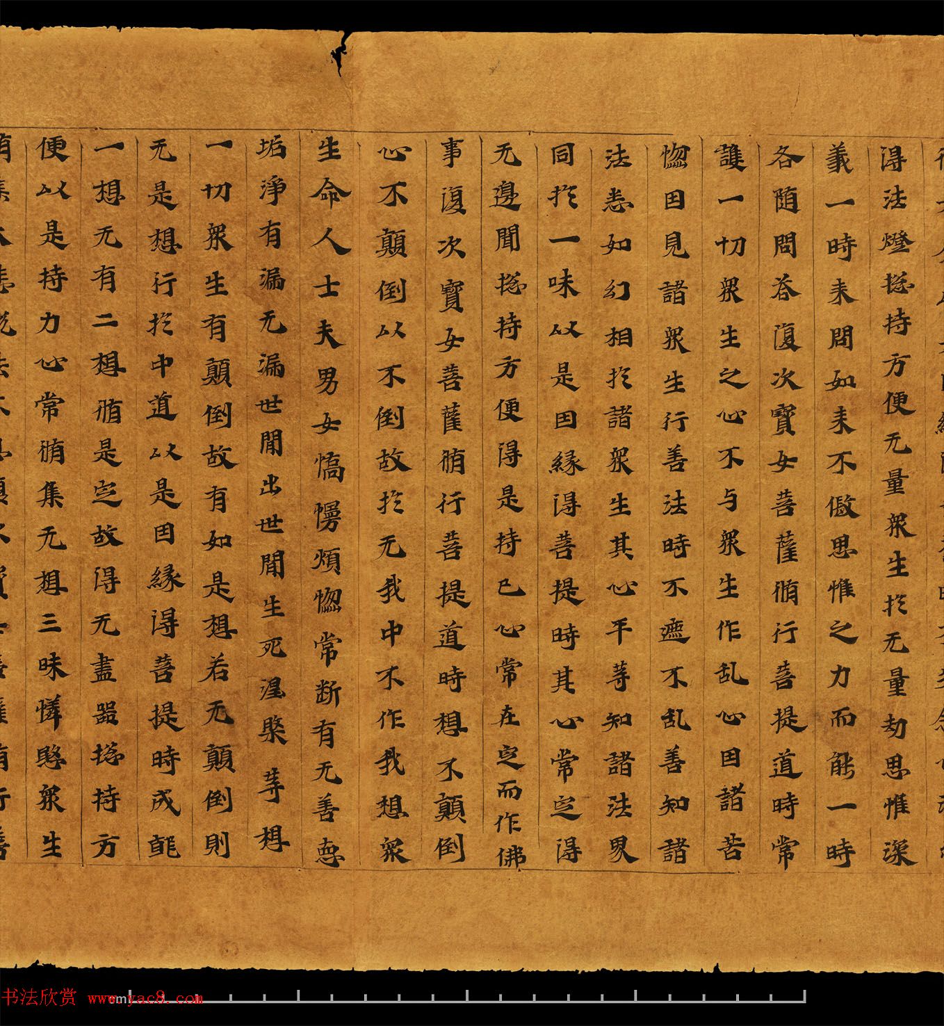 佛教书法墨迹欣赏《大集经卷第六》