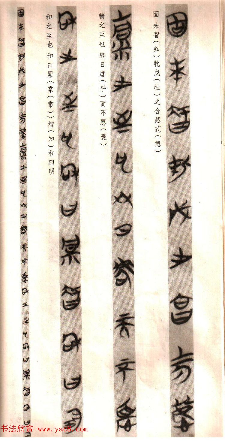 楚简书法《郭店楚墓竹简--老子甲》