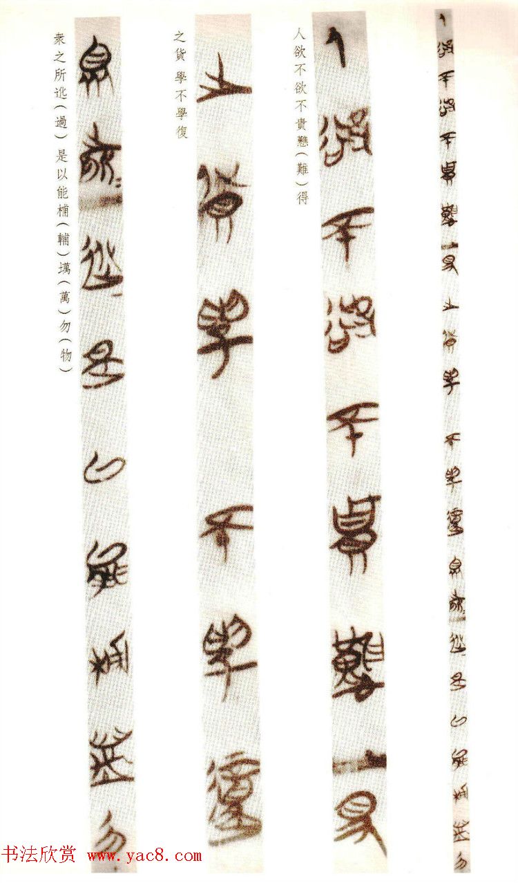 楚简墨迹《郭店楚墓竹简--老子乙》