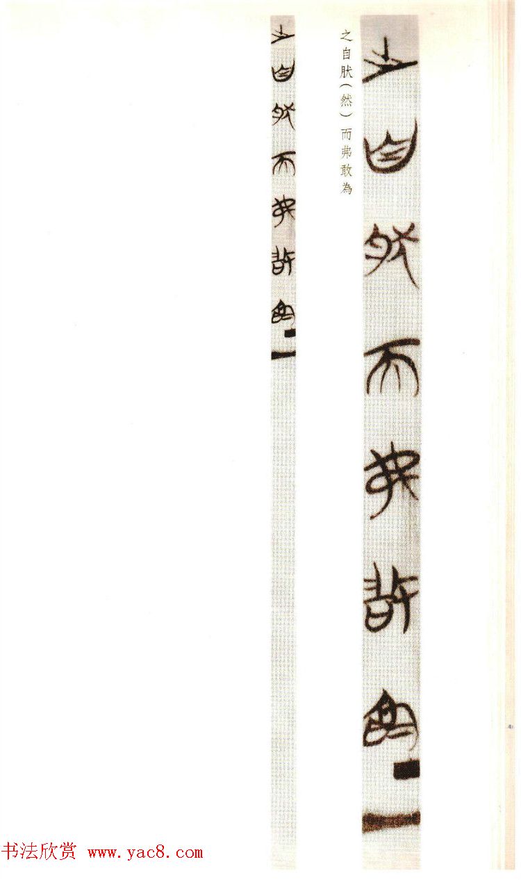 楚简墨迹《郭店楚墓竹简--老子乙》