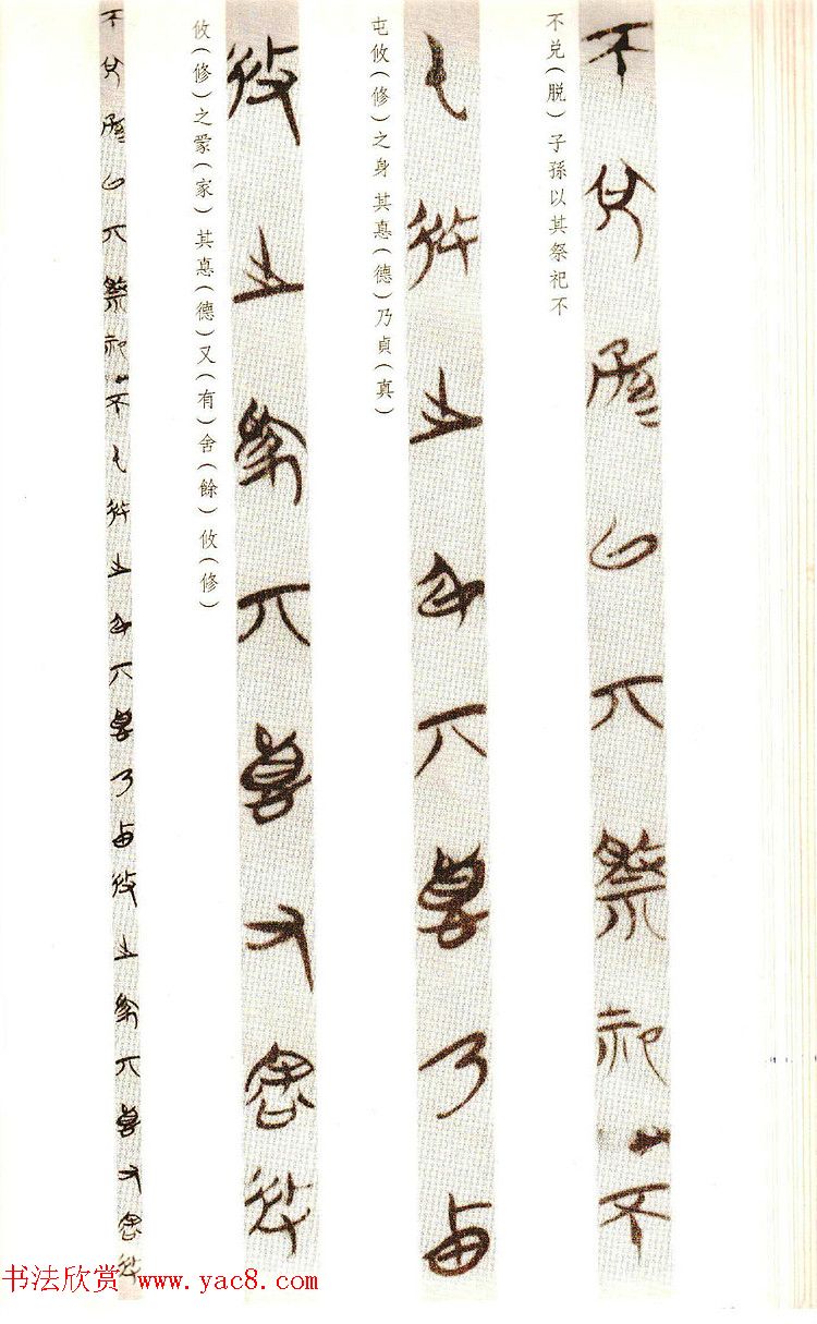 楚简墨迹《郭店楚墓竹简--老子乙》