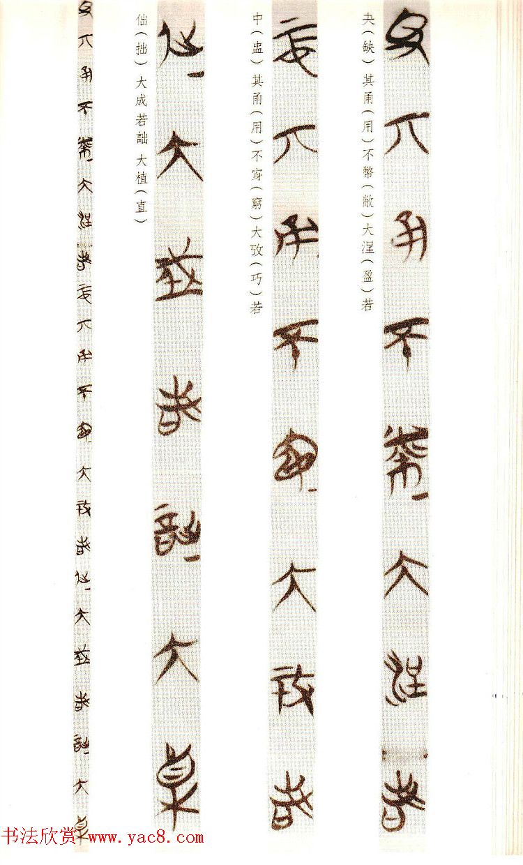 楚简墨迹《郭店楚墓竹简--老子乙》