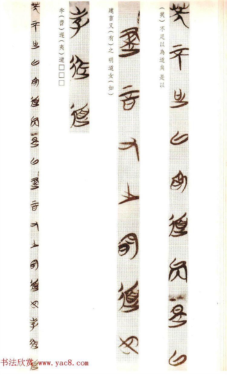 楚简墨迹《郭店楚墓竹简--老子乙》