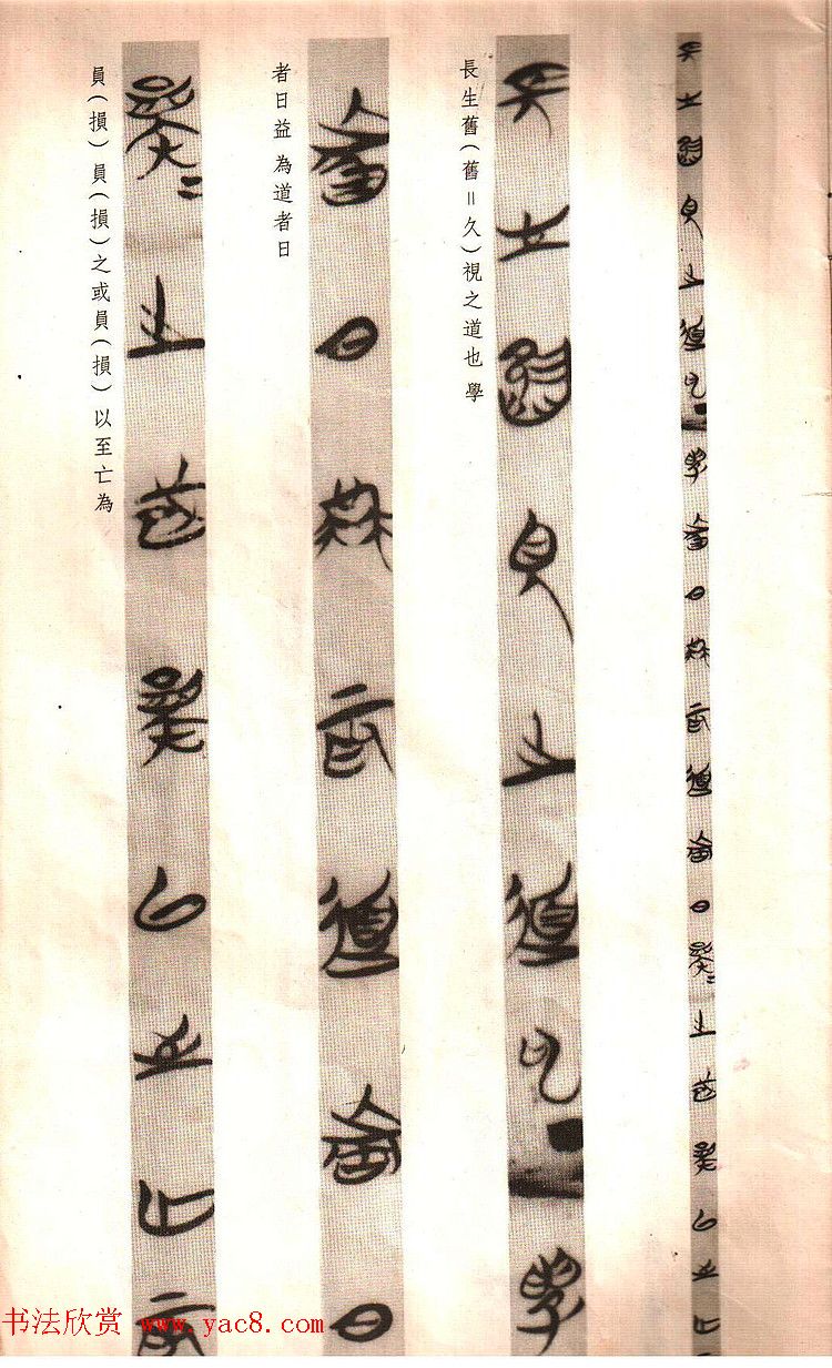 楚简墨迹《郭店楚墓竹简--老子乙》