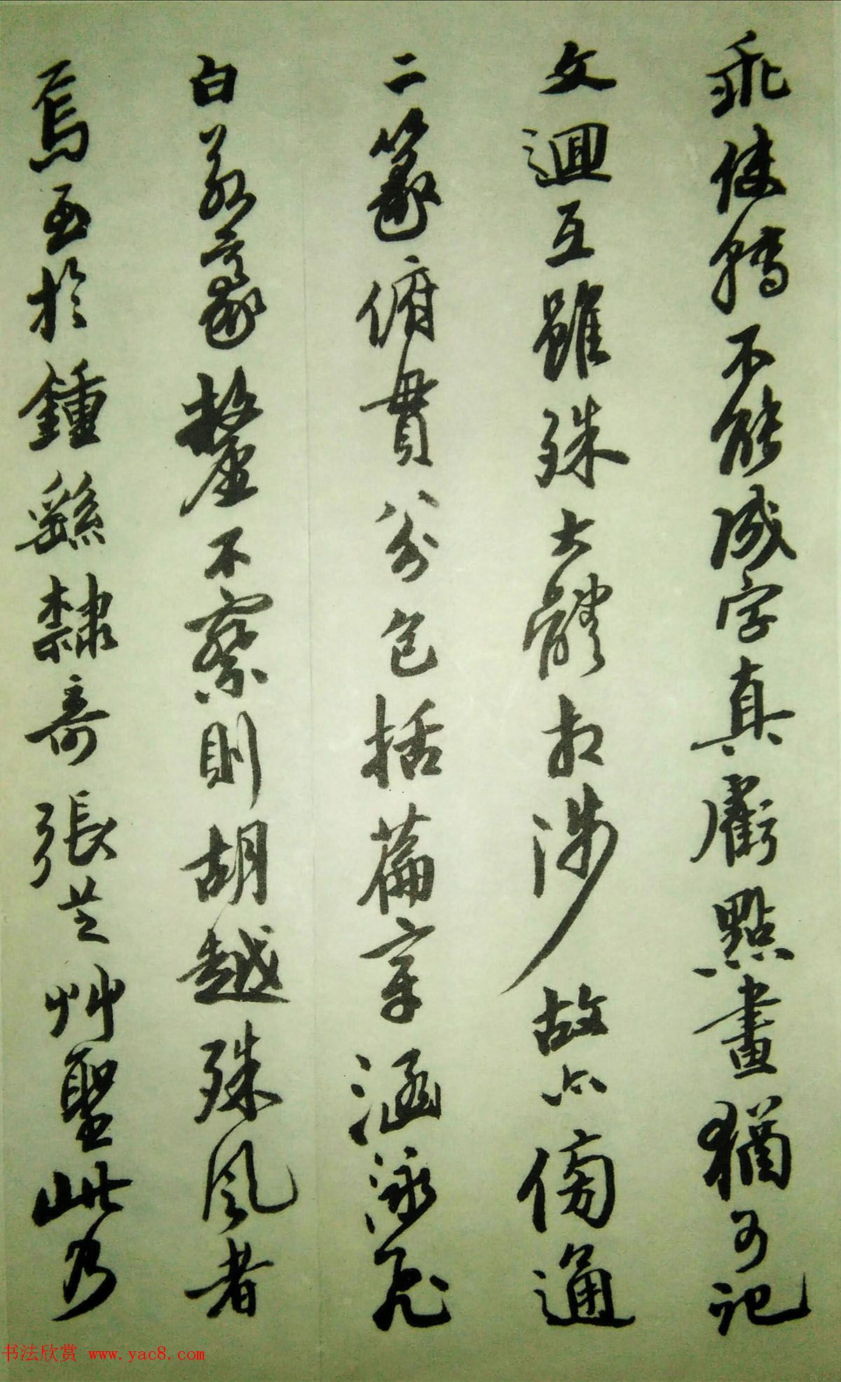 金石书法大家沙孟海73岁写书谱