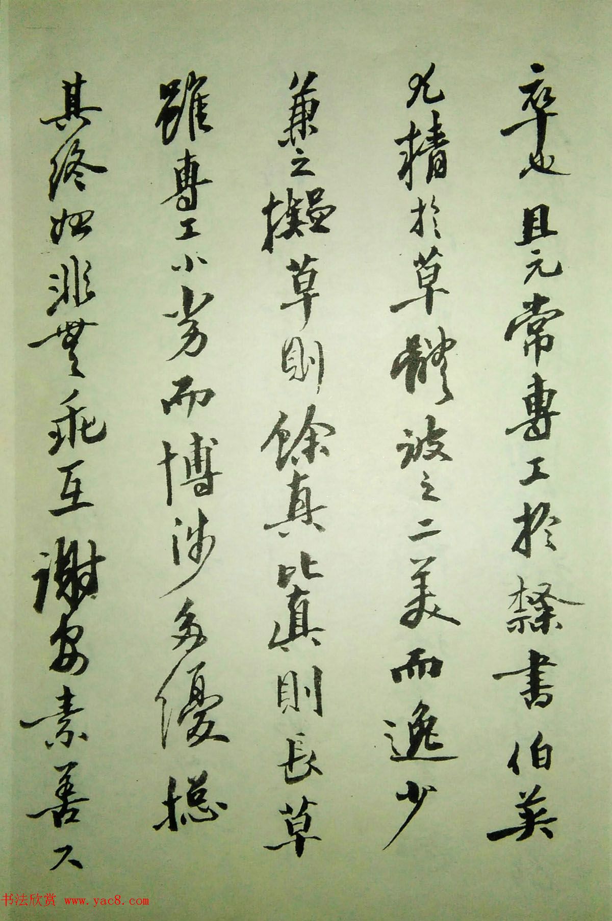 金石书法大家沙孟海73岁写书谱