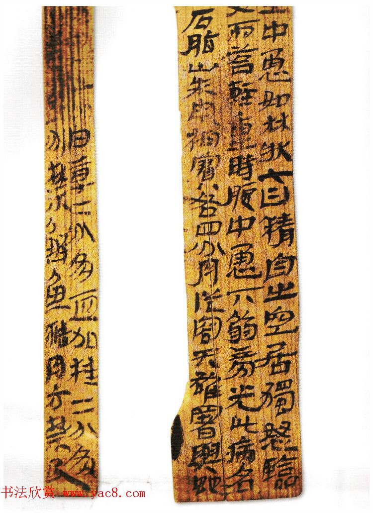 简牍书法《甘肃武威汉简》