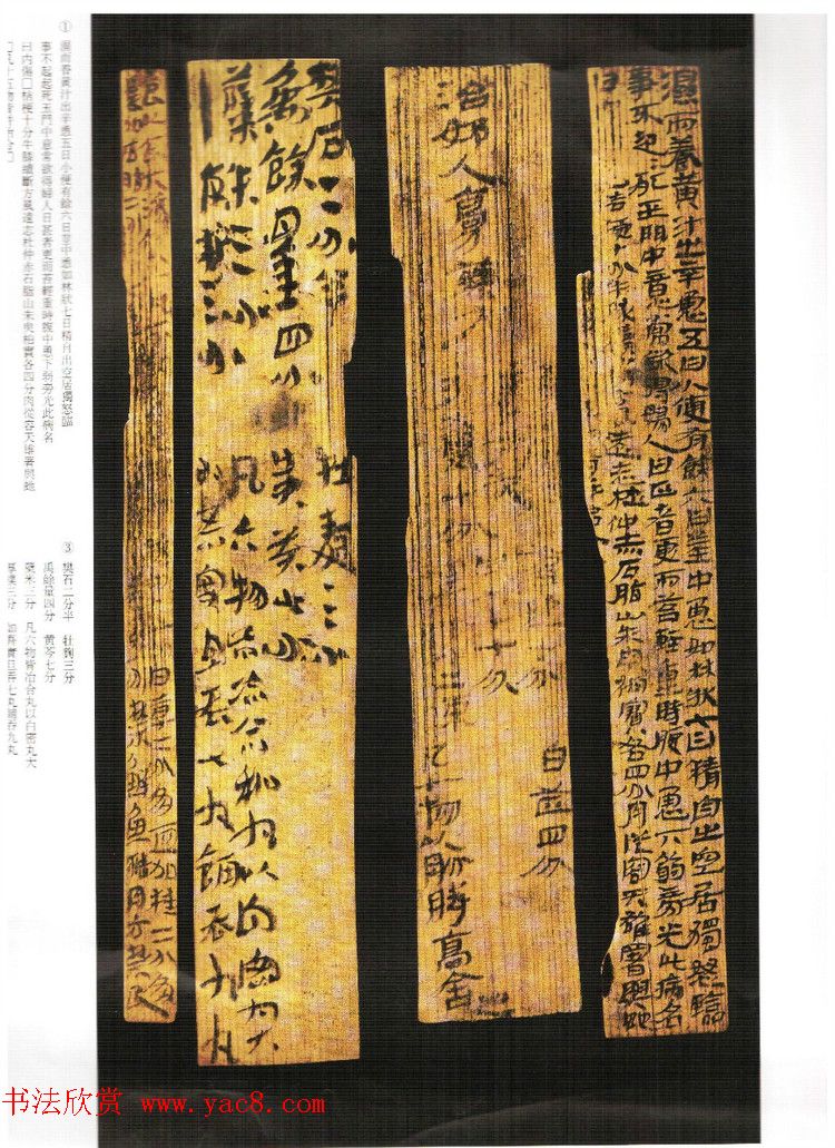 简牍书法《甘肃武威汉简》