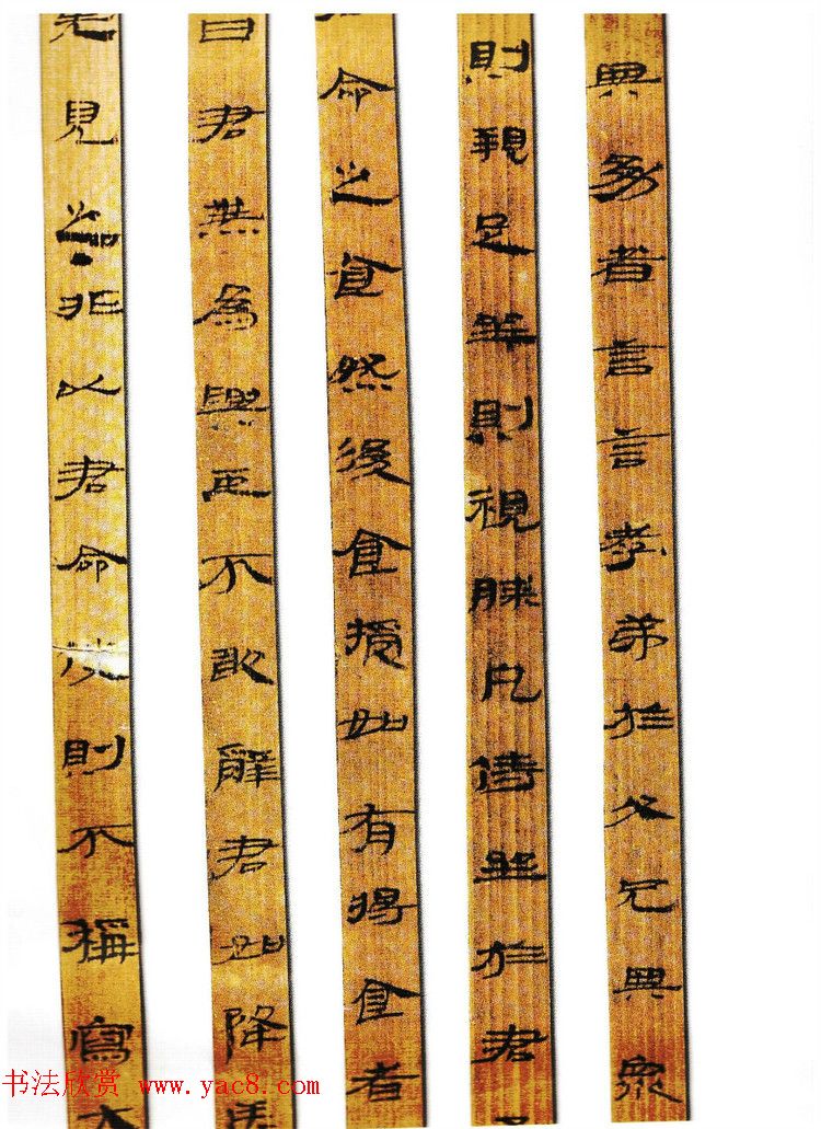 简牍书法《甘肃武威汉简》