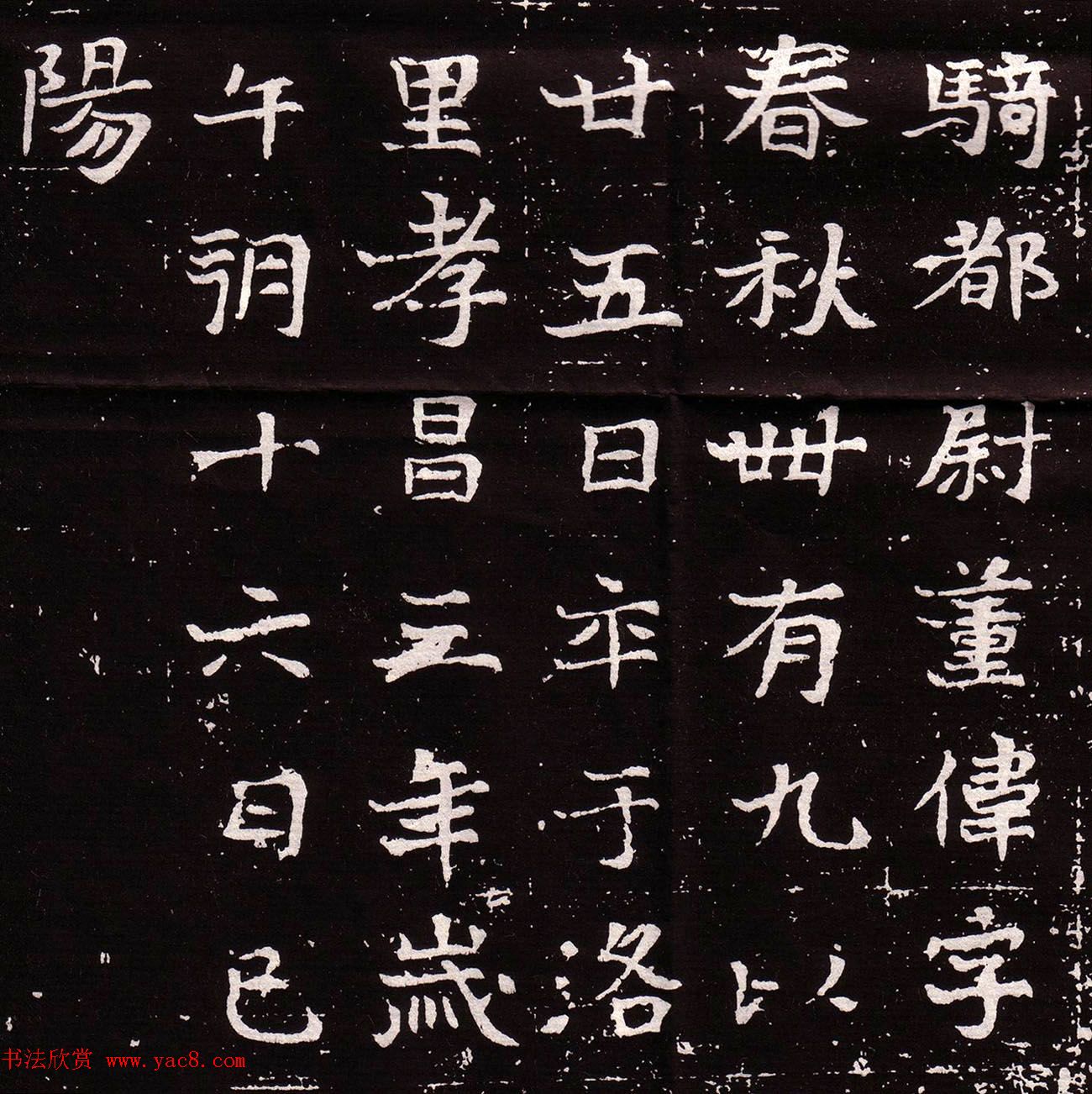 魏故宣威将军骑都尉董伟墓志