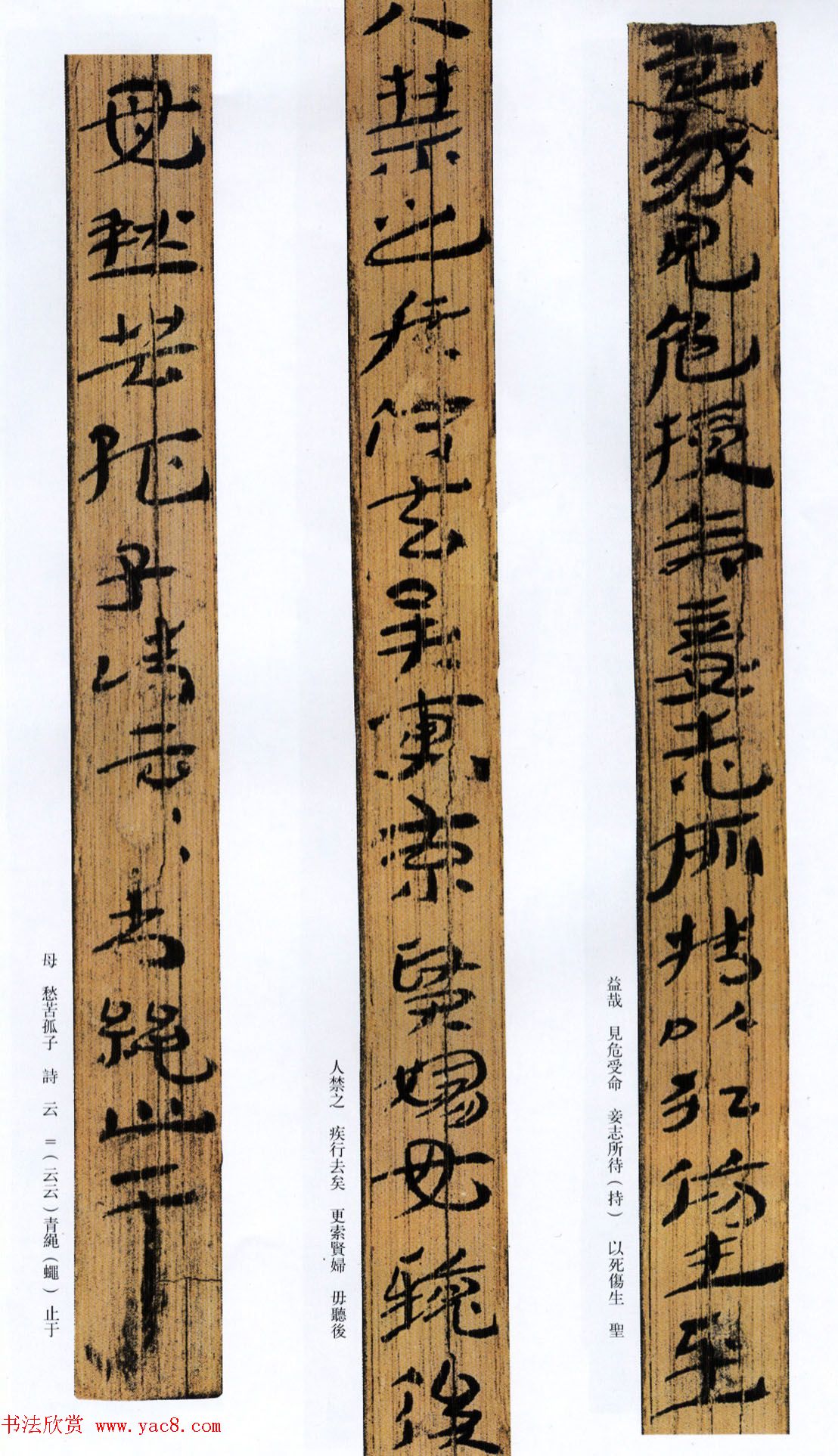 西汉草隶书法竹简《神乌傅》高清本